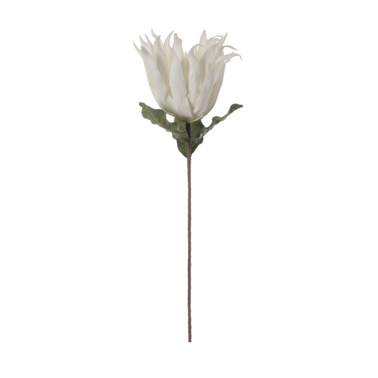86cm Foam Protea White