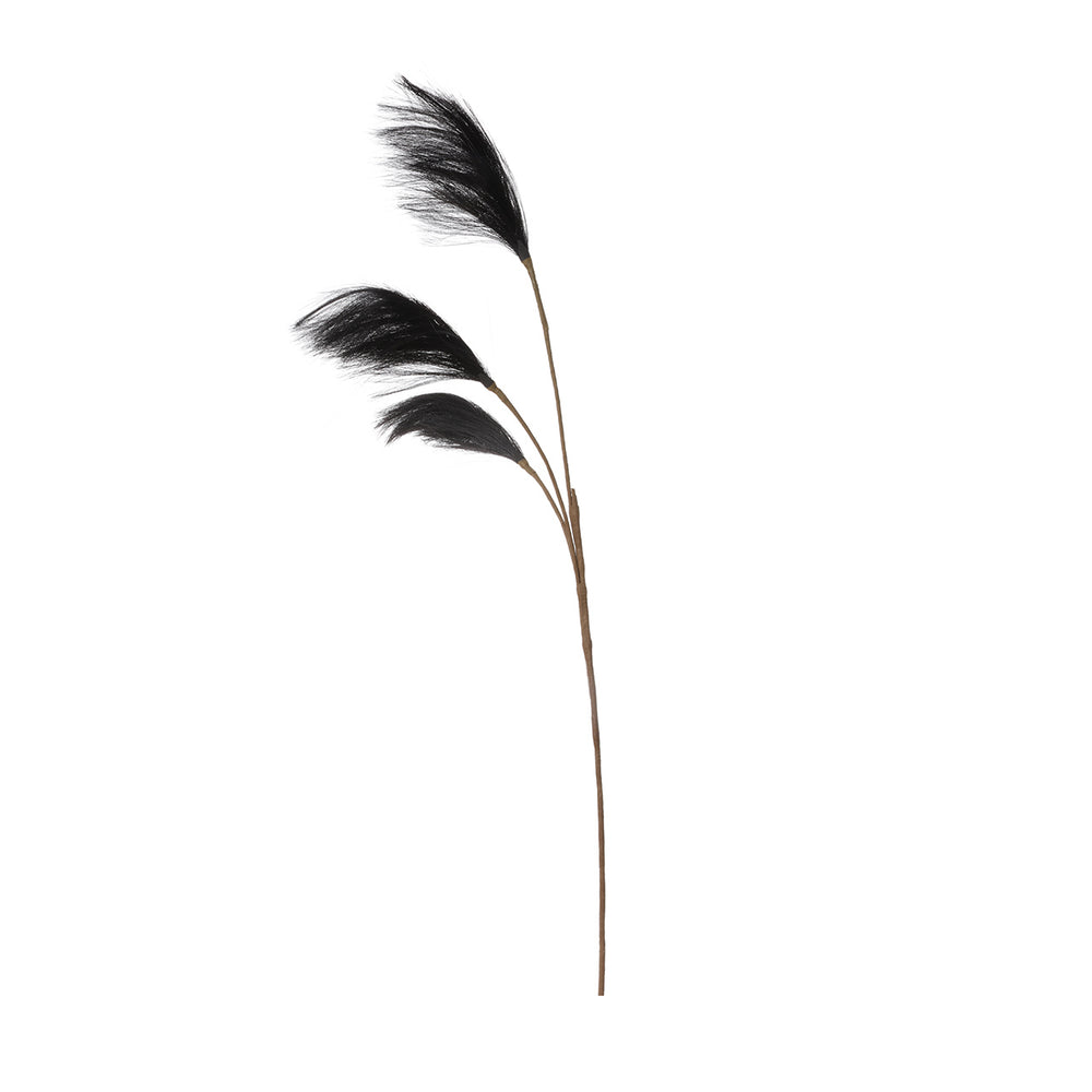 91cm Triple Stem Pampas Grass Black