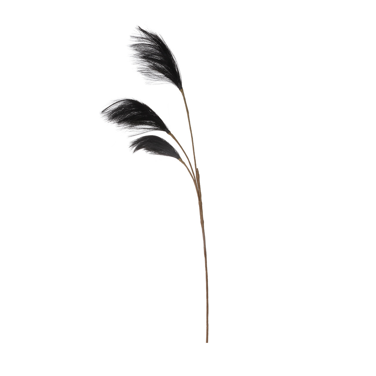 91cm Triple Stem Pampas Grass Black
