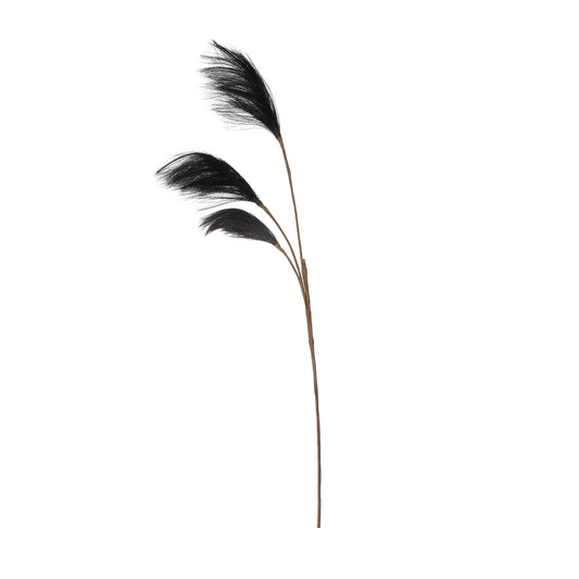 91cm Triple Stem Pampas Grass Black