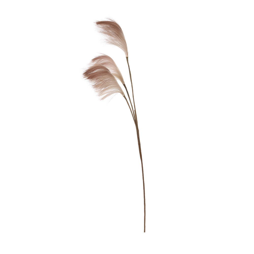 91cm Triple Stem Pampas Grass Coffee Brown