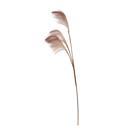 91cm Triple Stem Pampas Grass Coffee Brown
