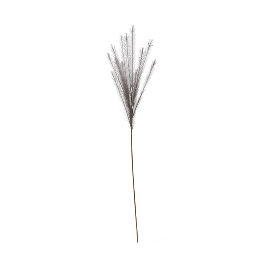 104cm Pampas Grass Grey