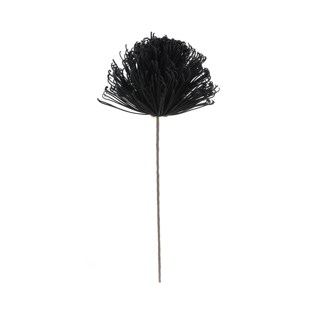 70cm Dandelion Foam Flower Black