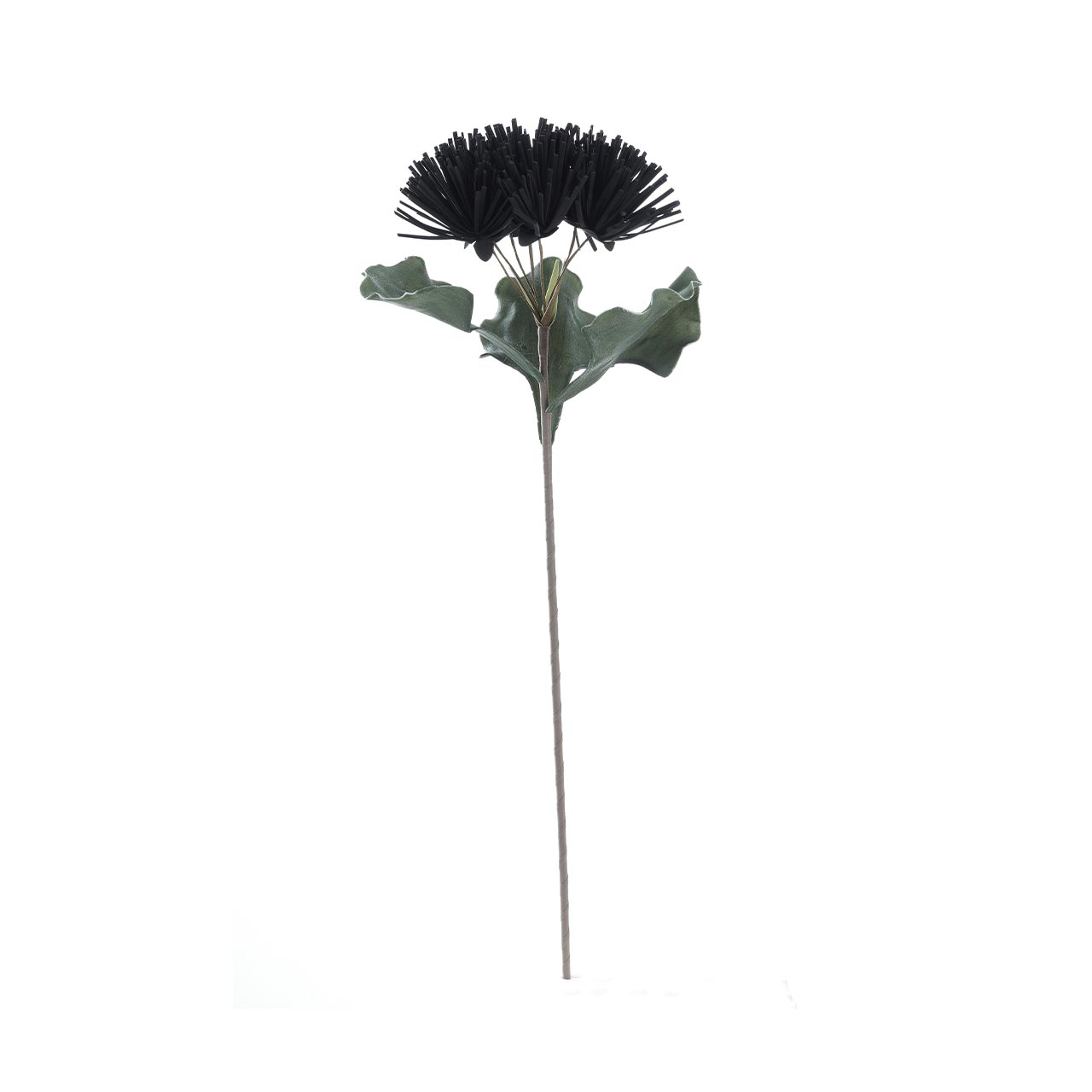 84cm Pincushion Foam Flower Black