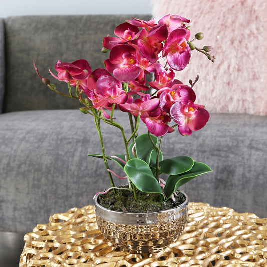 Pink Magic Touch Orchid Flower Display Chrome Pot
