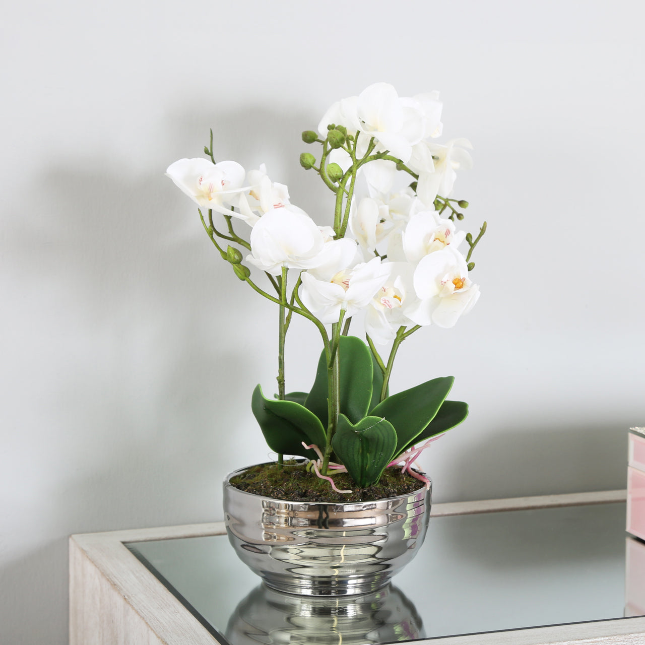 White Magic Touch Orchid Flower Display Chrome Pot