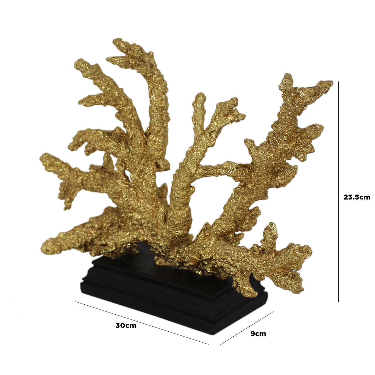 23.5cm Coral Decoration Gold Black Stand