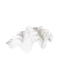 22.5cm Shell Decoration White