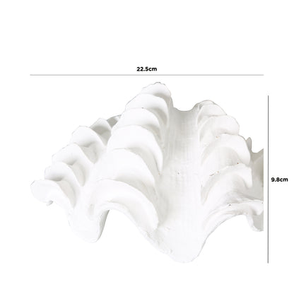 22.5cm Shell Decoration White