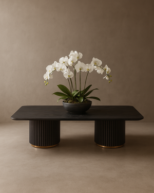 Lantine Coffee Table - Double Pedestal - Black Oak & Brass - Tommy Franks