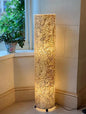 Shell Cylinder Lamp Gold