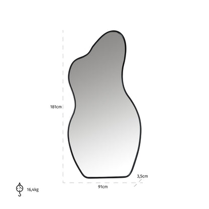 Mirror Aldon (Black)- Richmond Interiors