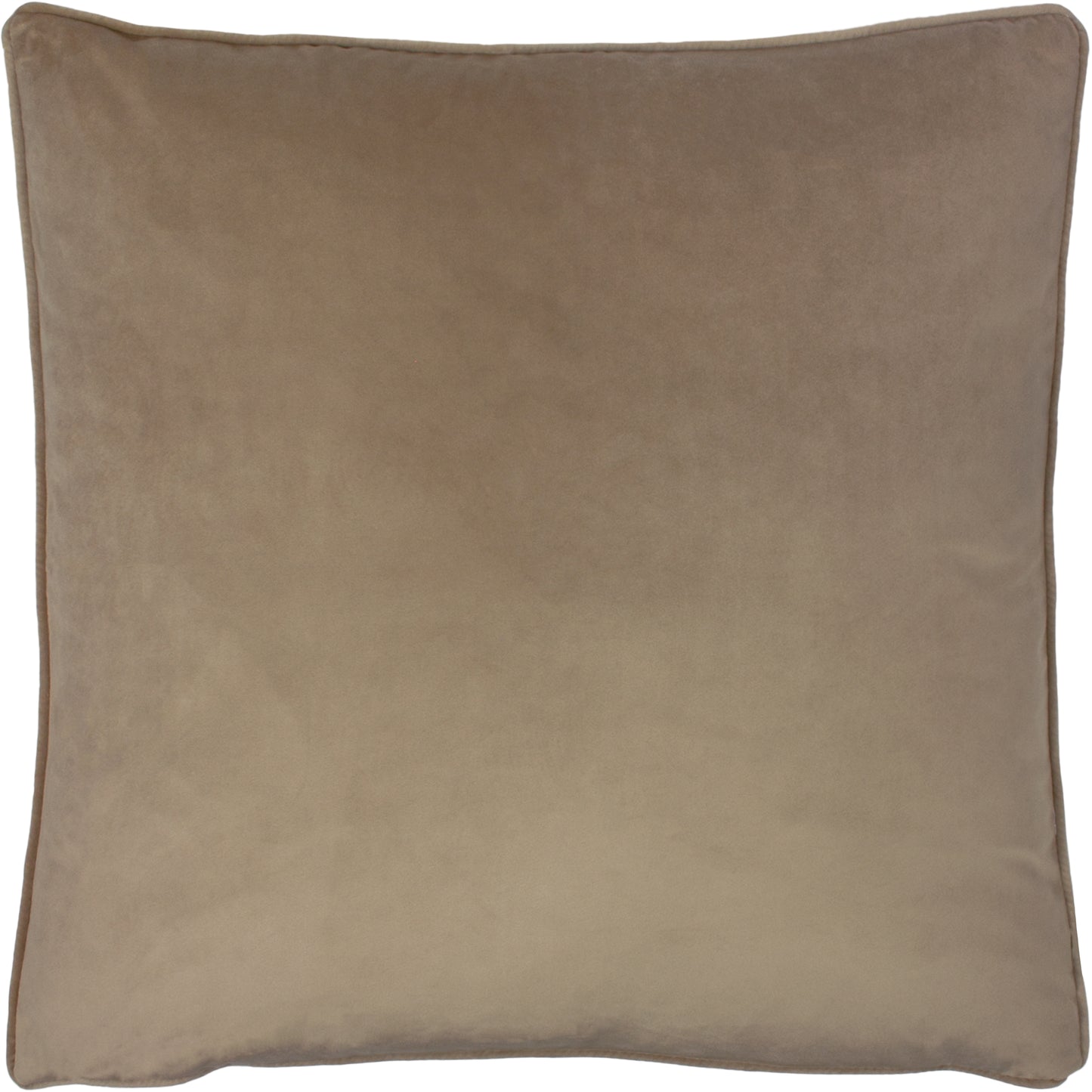OPULENCE 55X55 FEATHER FILLED CUSHION BISCUIT