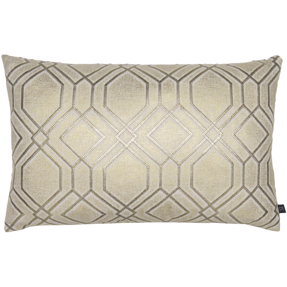 Othello 40x60 Feather Filled Cushion Coin - Canwell Interiors Limited - Riva