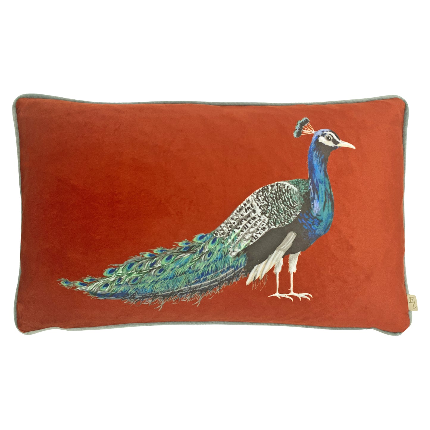 PEACOCK 30X50 FEATHER FILLED CUSHION SUNSET