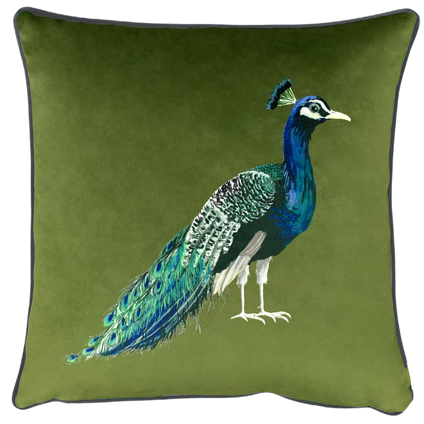 PEACOCK 43X43 FEATHER FILLED CUSHION OLIVE
