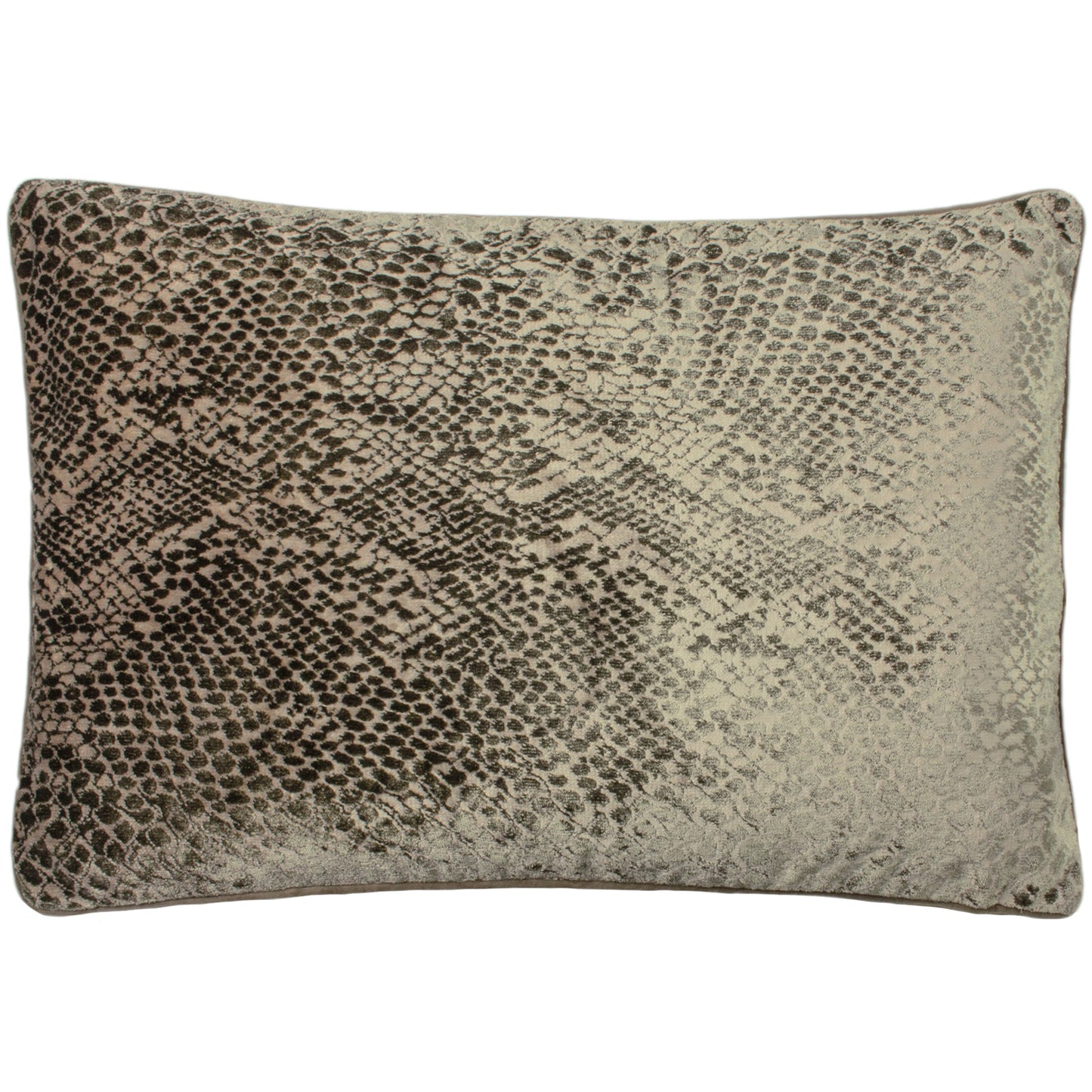 PYTHON 40X60 FEATHER FILLED CUSHION CHAMPAGNE