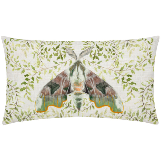 SHUGBOROUGH MOTH 30X50 FEATHER FILLED CUSHION MULTI