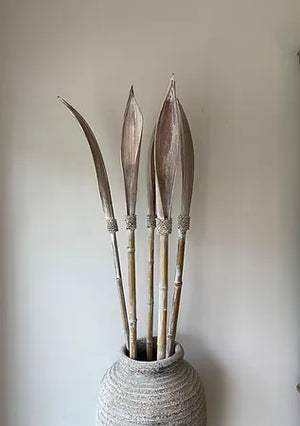 Coco Spear Whitewash