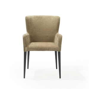 Varsi Dining Chair - Set of 2 - Olive - Tommy Franks