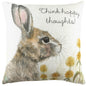 WLAND HARE THOUGHTS 43X43 FEATHER FILLED CUSHION