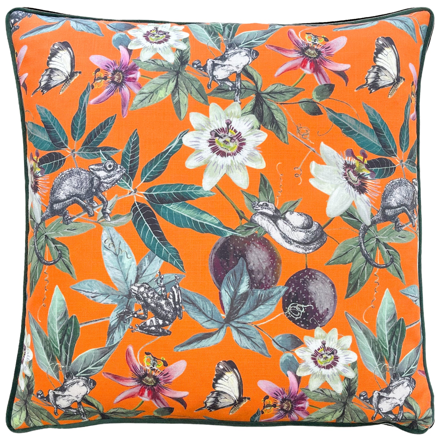 WILD PASSION CREATURES 50X50 FEATHER FILLED CUSHION ORANGE