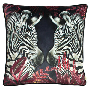 Zinara 50x50 Feather Filled Cushion Twin Zebras