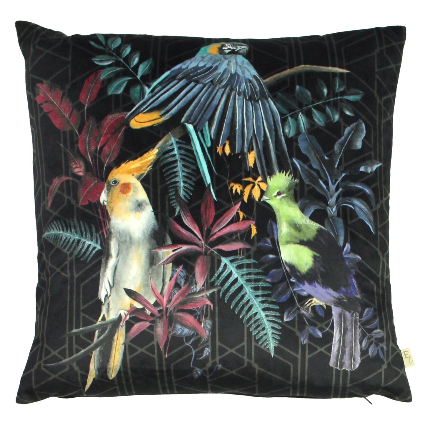 ZINARA 43X43 FEATHER FILLED CUSHION BIRDS