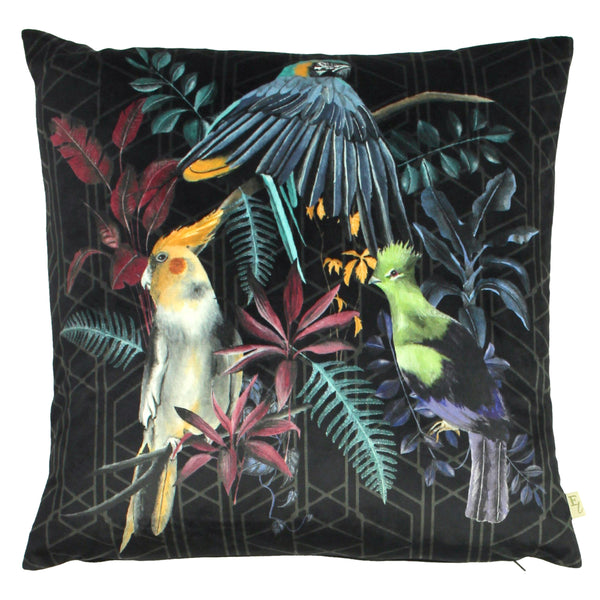 Zinara 43x43 Feather Filled Cushion Birds