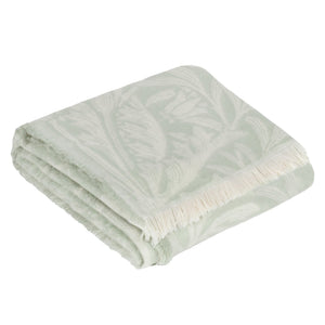 Acorn Tonal 130x170 Throw Sage - XShowhome Limited - Riva