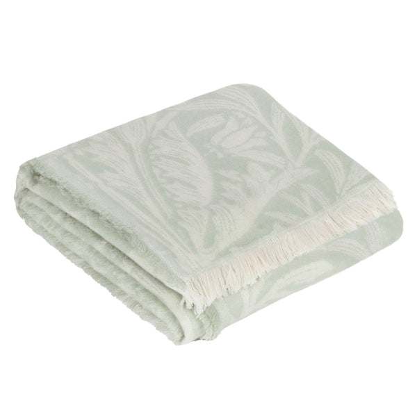Acorn Tonal 130x170 Throw Sage - XShowhome Limited - Riva