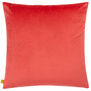Alma 50x50 Feather Filled Cushion Pink - Canwell Interiors Limited - Riva