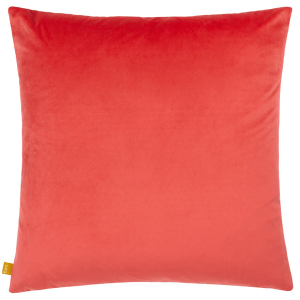 Alma 50x50 Feather Filled Cushion Pink - Canwell Interiors Limited - Riva