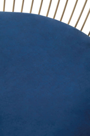 Anzio Navy Blue Velvet And Brushed Gold Chair - XShowhome Limited - Xshowhome