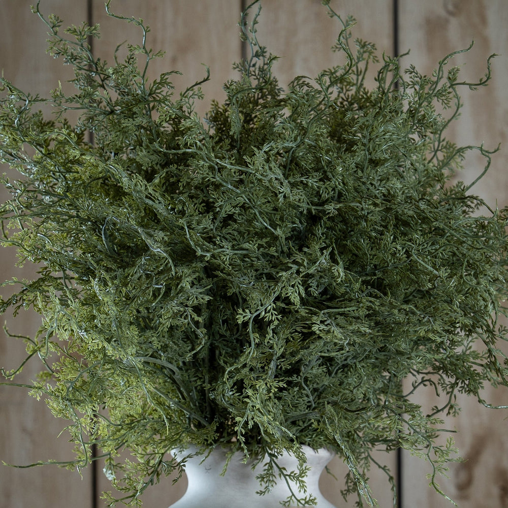 Asparagus Fern Bunch - Canwell Interiors Limited - Hills