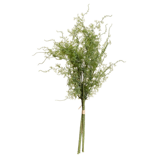 Asparagus Fern Bunch - Canwell Interiors Limited - Hills