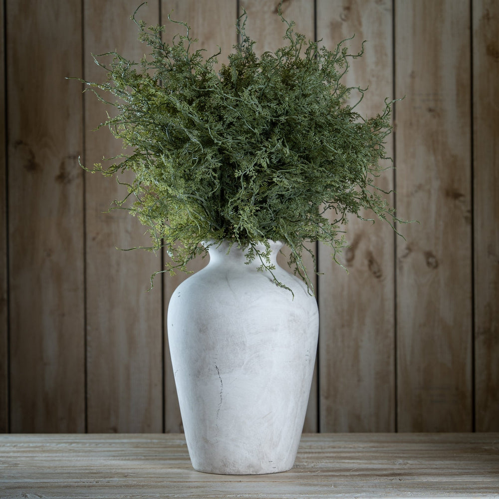 Asparagus Fern Bunch - Canwell Interiors Limited - Hills