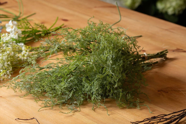 Asparagus Fern Bunch - Canwell Interiors Limited - Hills