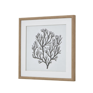 Atol Coral Art Mounted in Beaded Frame - Canwell Interiors Limited - Hills