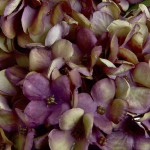 Autumn Burgundy Hydrangea - Canwell Interiors Limited - Hills