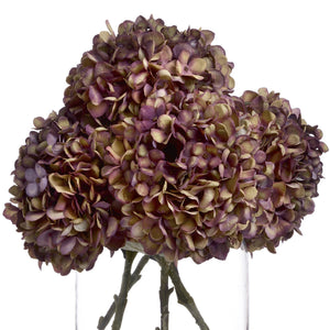 Autumn Burgundy Hydrangea - Canwell Interiors Limited - Hills
