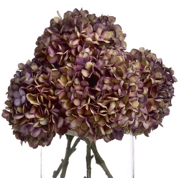 Autumn Burgundy Hydrangea - Canwell Interiors Limited - Hills