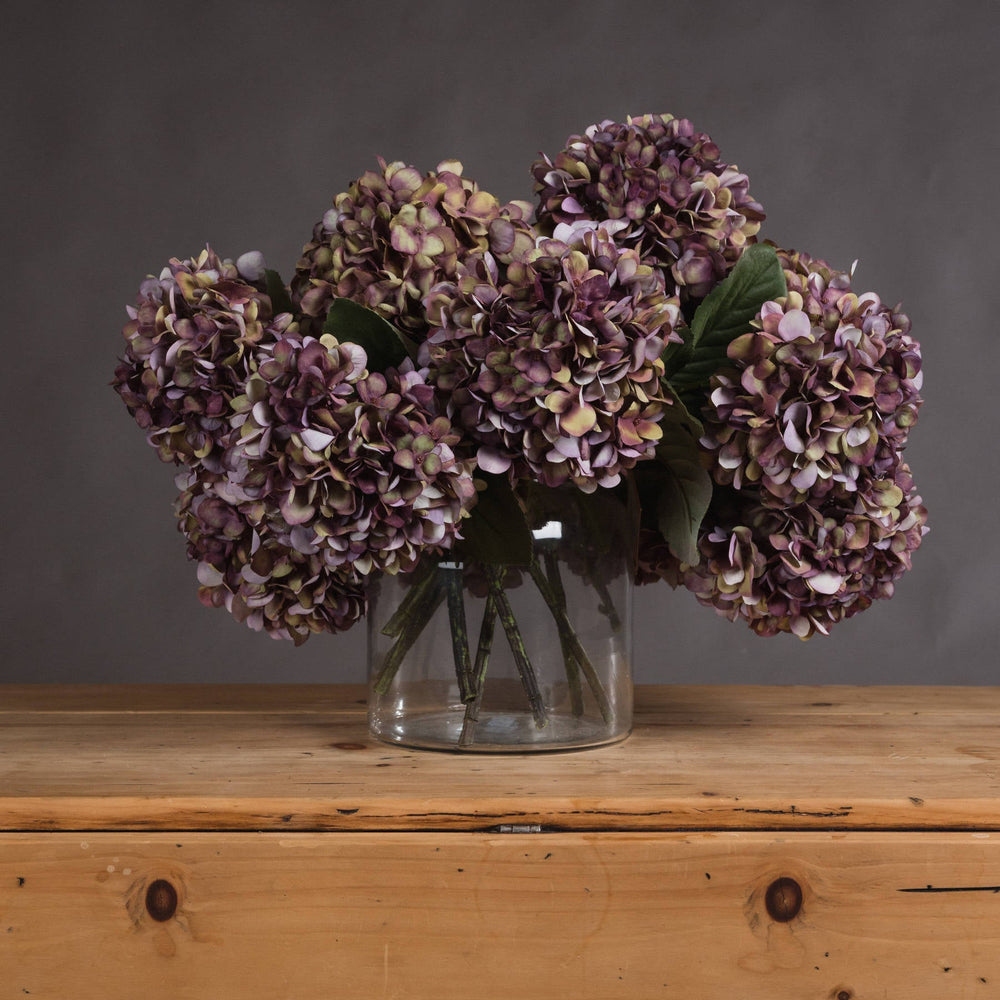 Autumn Burgundy Hydrangea - Canwell Interiors Limited - Hills