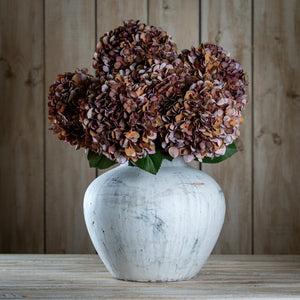 Autumn Coffee Hydrangea - Canwell Interiors Limited - Hills