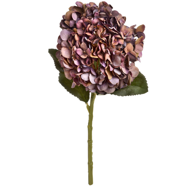 Autumn Coffee Hydrangea - Canwell Interiors Limited - Hills