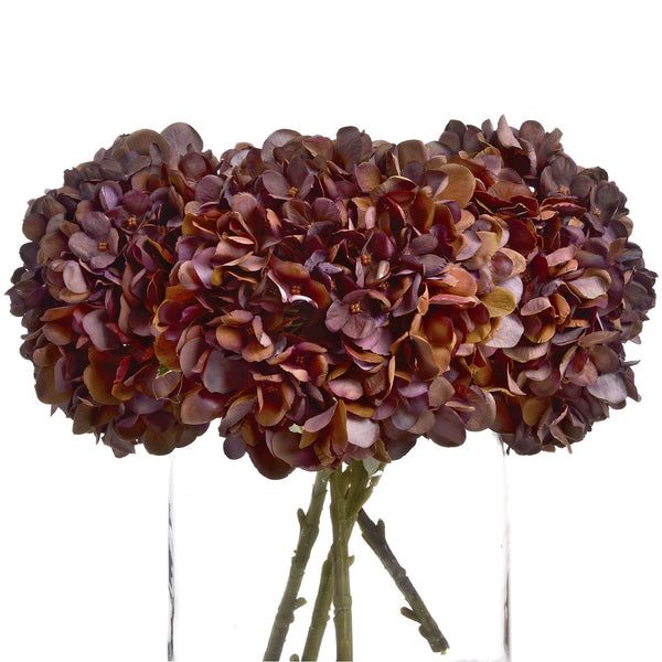 Autumn Coffee Hydrangea - Canwell Interiors Limited - Hills