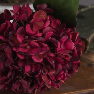Autumn Ruby Hydrangea - Canwell Interiors Limited - Hills