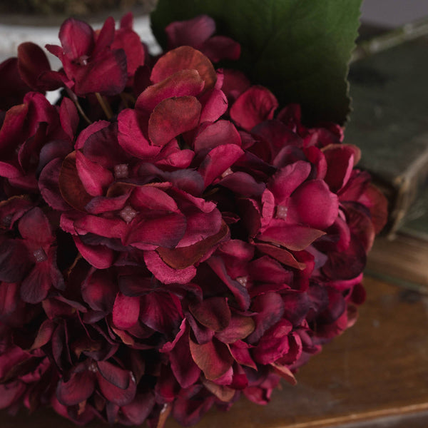 Autumn Ruby Hydrangea - Canwell Interiors Limited - Hills