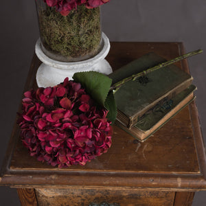 Autumn Ruby Hydrangea - Canwell Interiors Limited - Hills